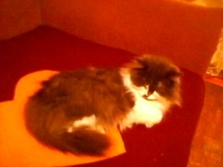 №73, Василиса Рычагова, Пермь №73, Василиса Рычагова, Пермь