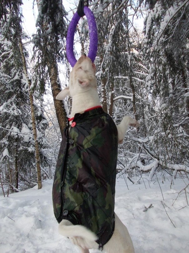 Елена Баринова | Можайск