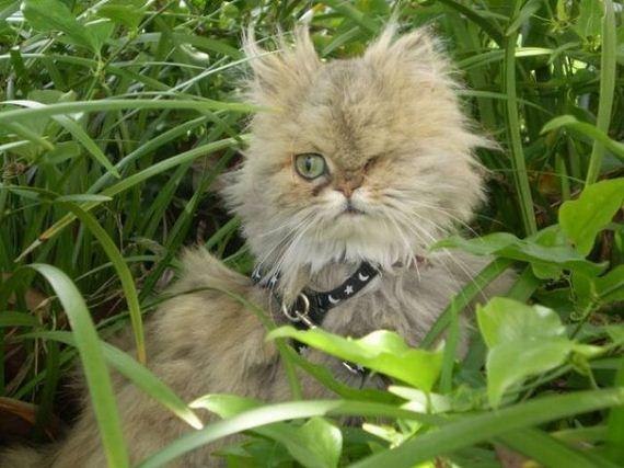 Александр Сидоров | Бобруйск