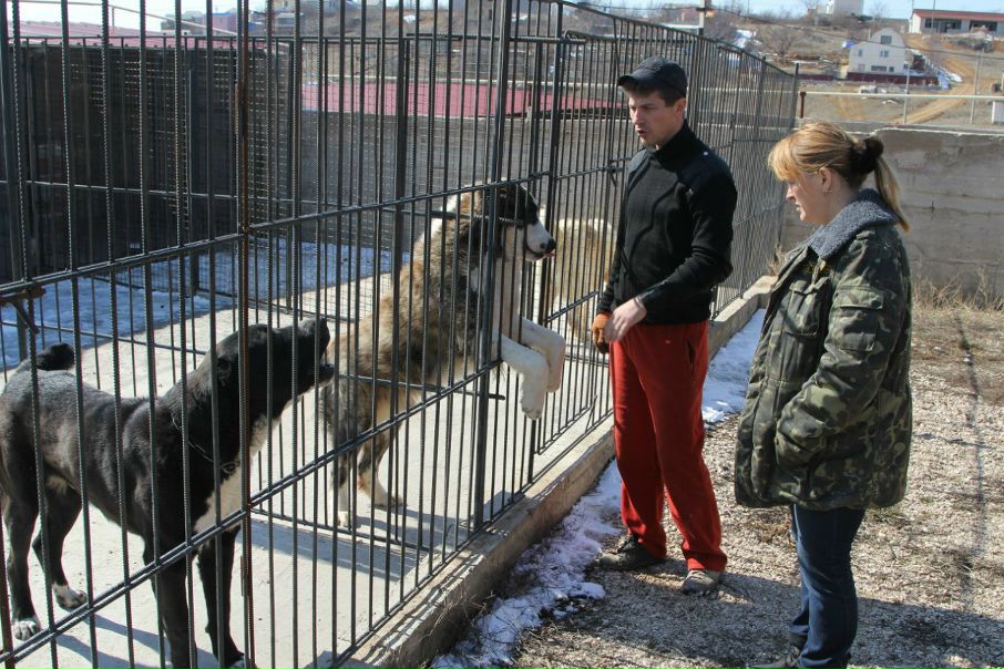 №100, Руслан Гордеев, Львов №100, Руслан Гордеев, Львов