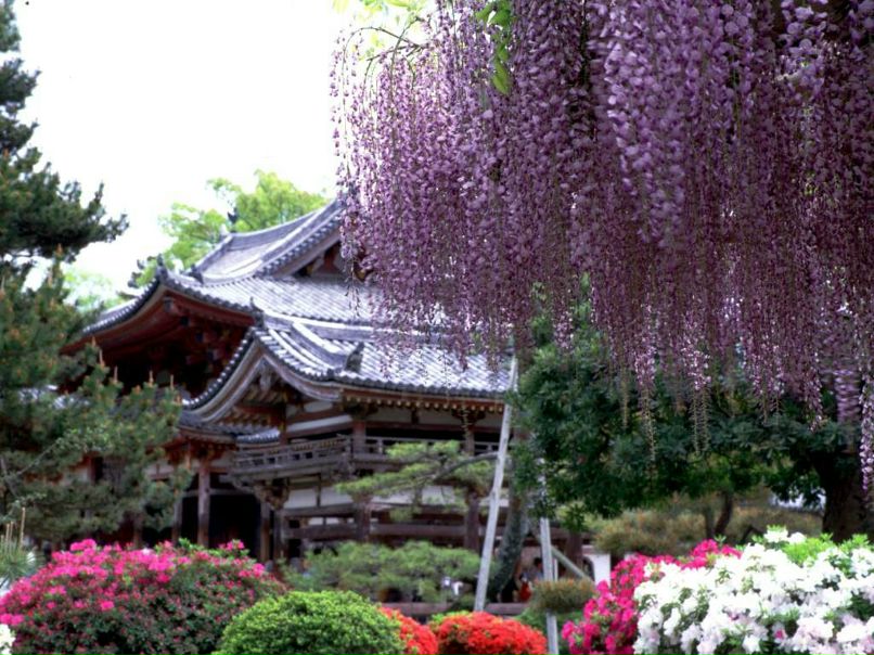 Саша Давидчук ٩(-̮̮̃•̃)۶ШУРИК٩(-̮̮̃•̃)۶ | Ярунь