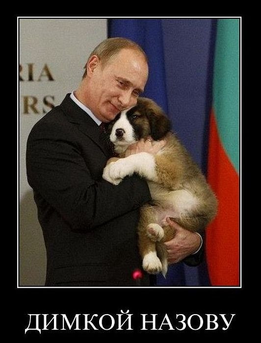 Дмитрий Борисов | Москва