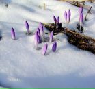 №33 Кира Нечаева 06.04.1984: профиль, фото, статус - ВКонтакте