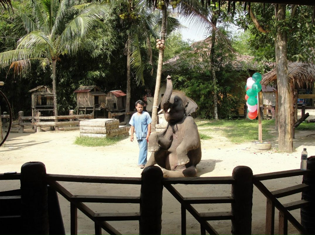 Ольга Протопопова | Москва