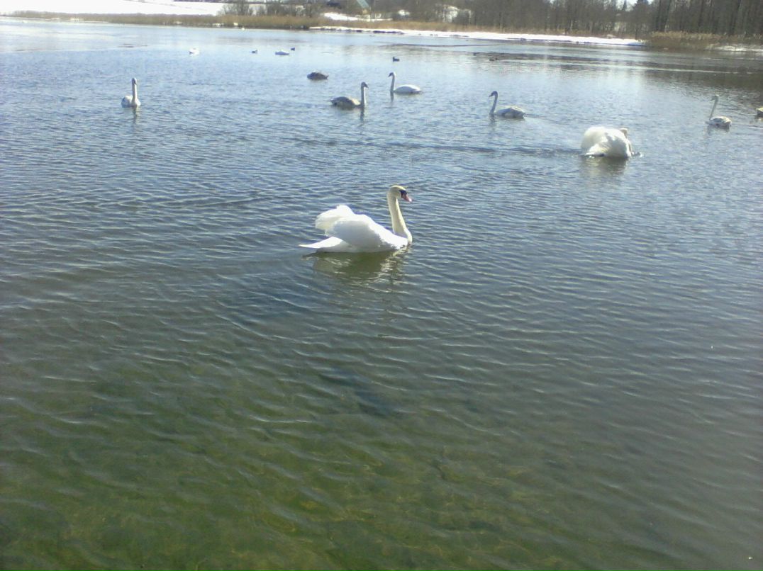 Екатерина Горохова | Петрозаводск