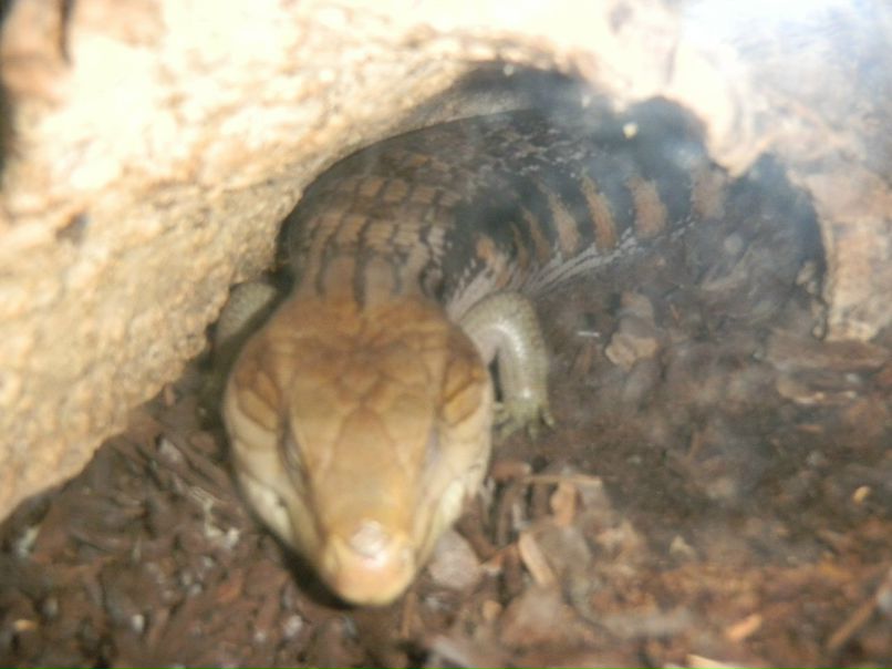 Ирина Кравчук | 