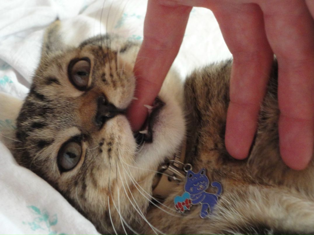 Наташка Кукишева | Липецк