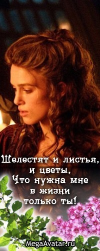 №12, Грейс Молли №12, Грейс Молли