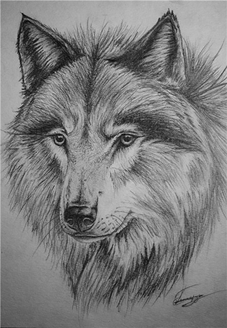 Стас Шмелев | Москва