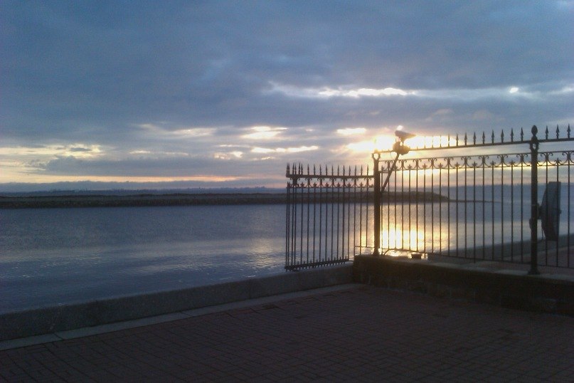 Николай Полозюк | Санкт-Петербург