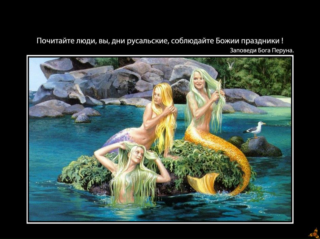 Евгений Никитин Александрович | Санкт-Петербург