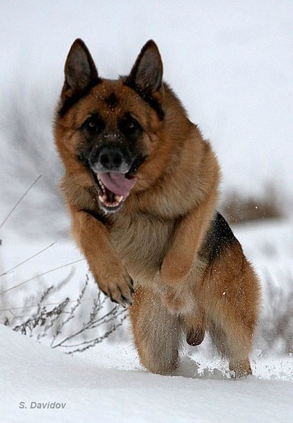 №48, Илья Листьев, 03.07, Киев №48, Илья Листьев, 03.07, Киев