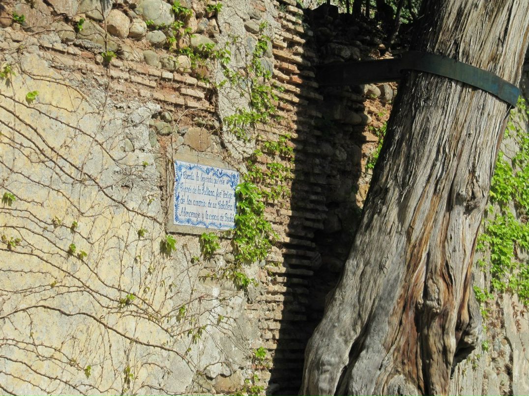 Lora Suslova | Москва