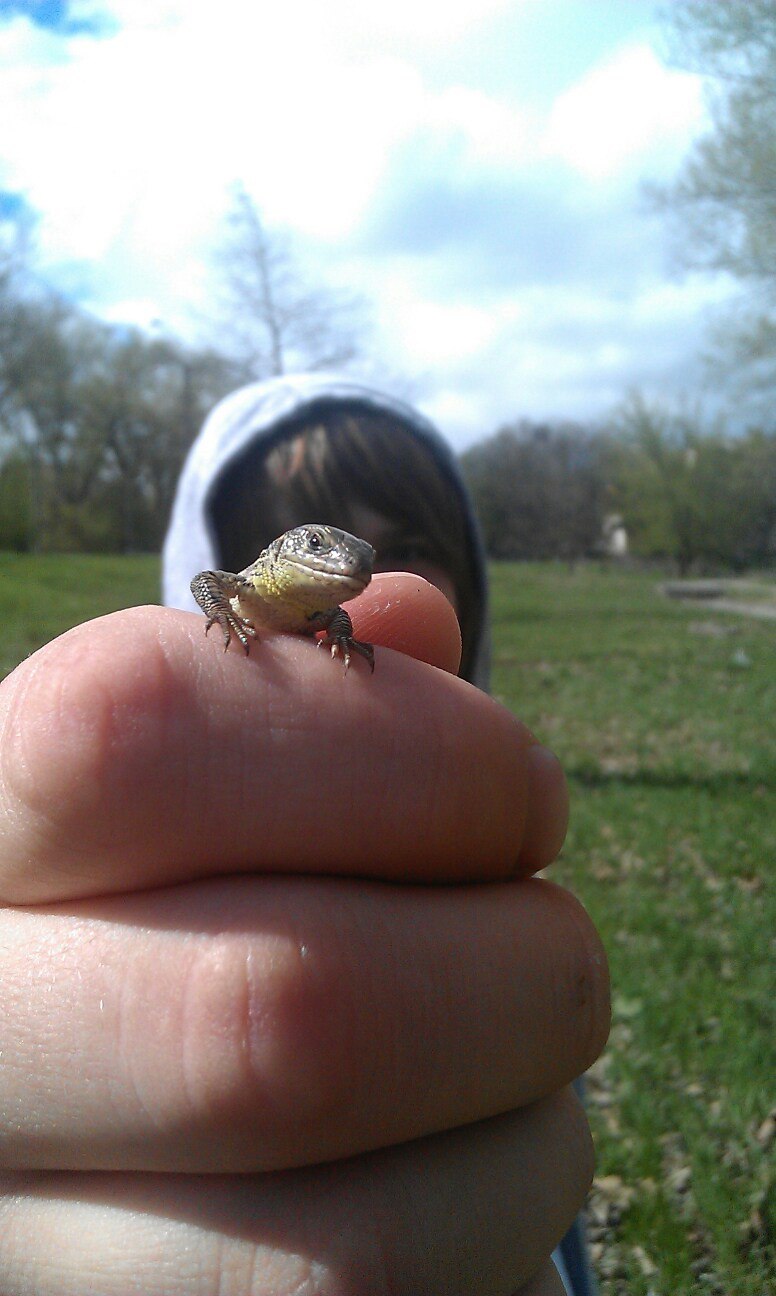 Евгений Белый | Симферополь