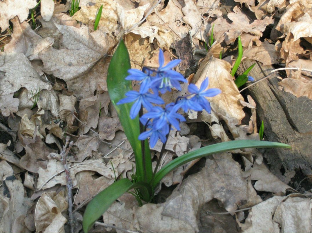 Александра Петенко | Харьков