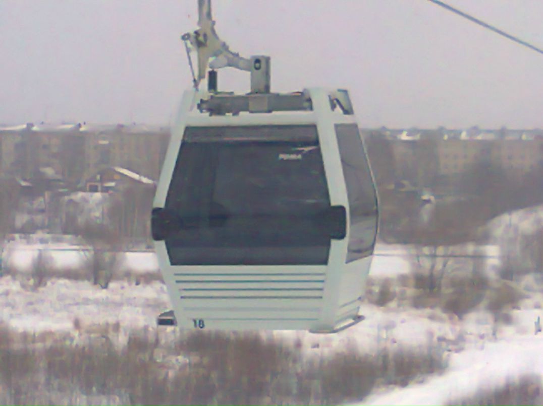 Евгения Белова | Бор