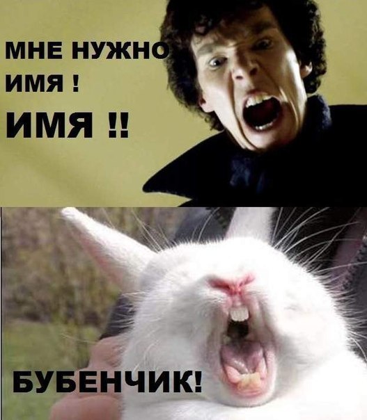 №100, Няшка Кавайный, 81 год, Кушкет-Баш №100, Няшка Кавайный, 81 год, Кушкет-Баш