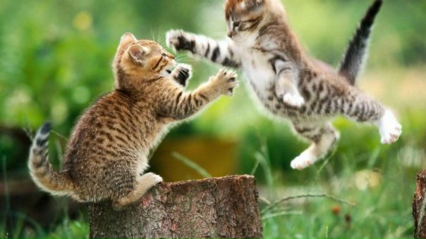 №43, Амина Халикова, Ульяновск №43, Амина Халикова, Ульяновск