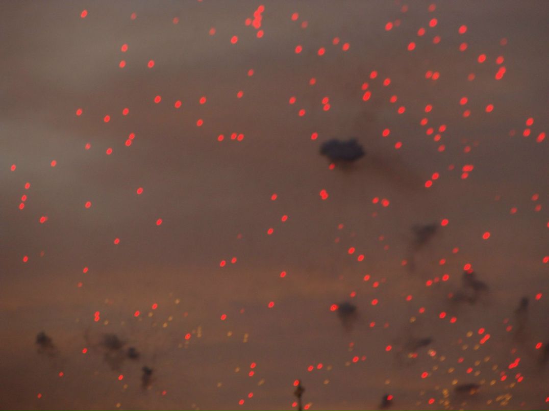 Алексей Казельский | Санкт-Петербург