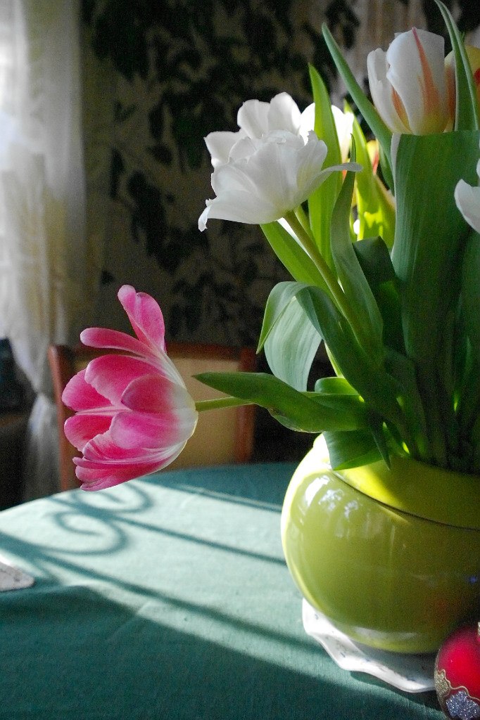 Ирина Краснова Андреевна | Москва