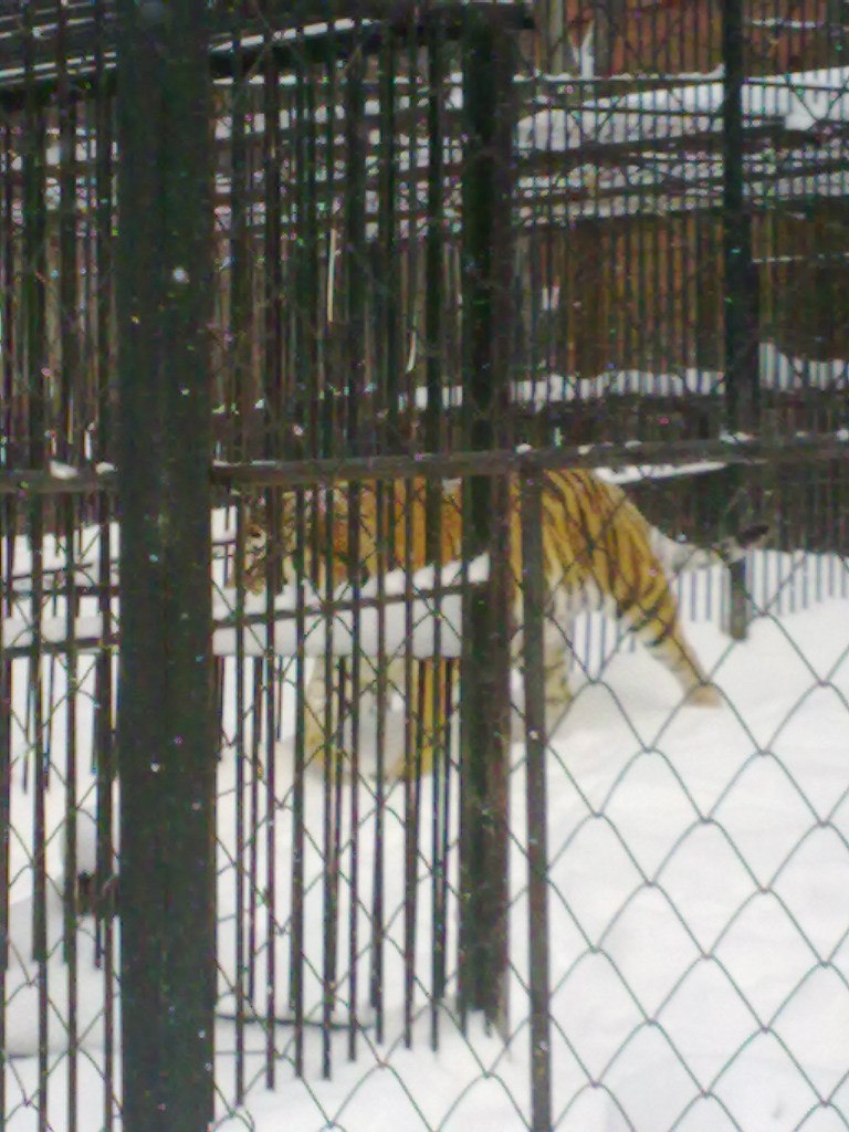 Валентин Пьянков | 