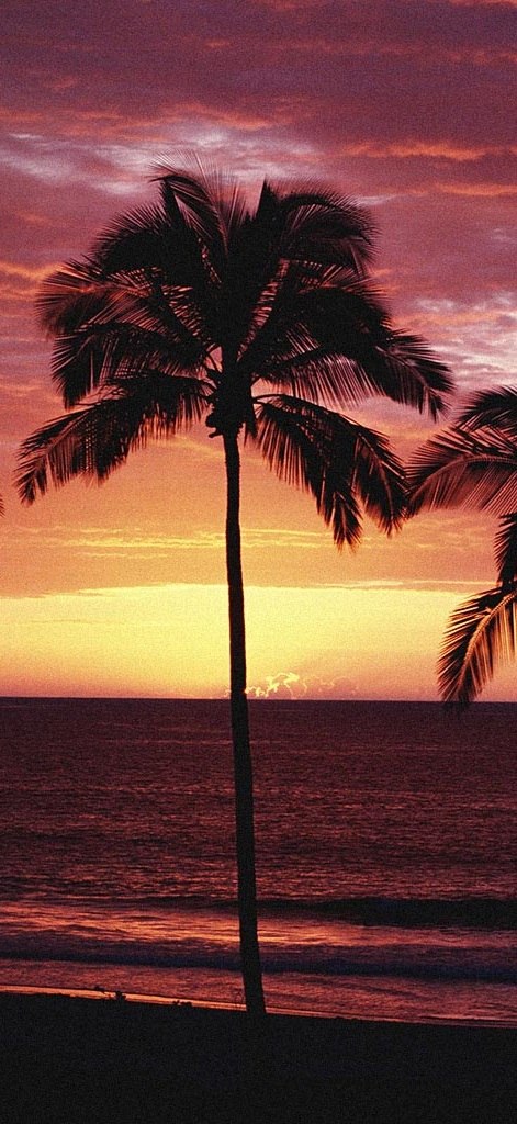 Лёха Пащенко | Москва