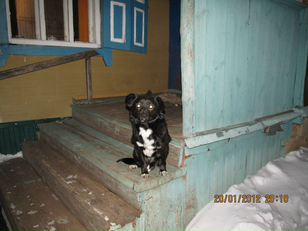 Любовь Балашова Алексеевна | Бузулук