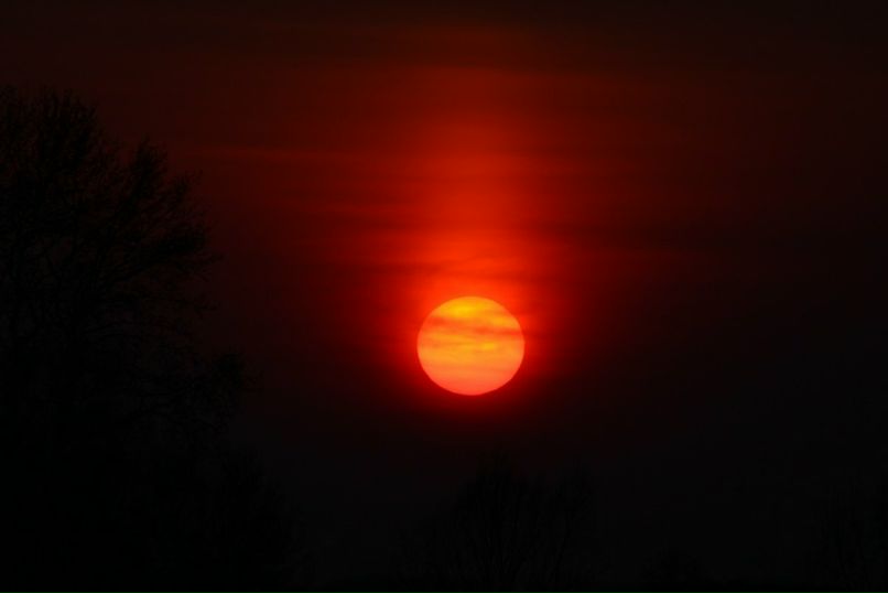 Виолетта Летова | Батуми