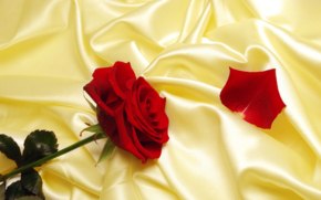 Белигма Цыдендамбаева | Якутск