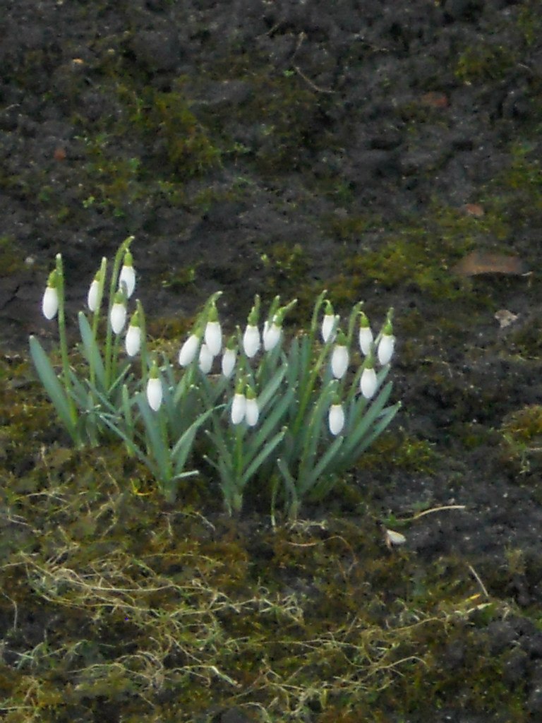 Larisa Larisa | Солигорск