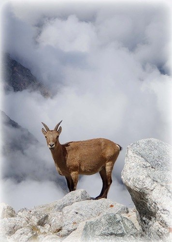 Катюша Шишкина | Киров