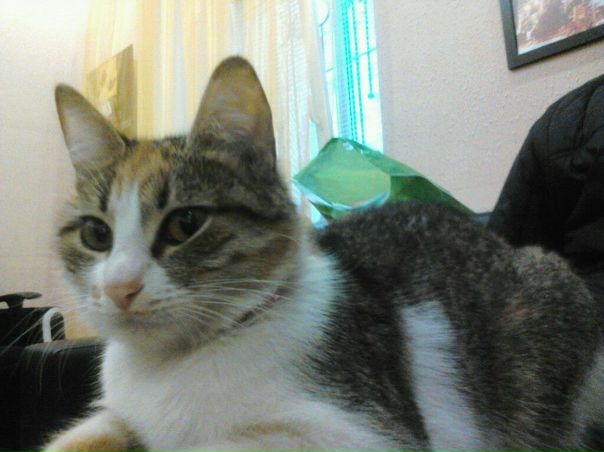 №84, Владимир Немов, 41 год, Ростов-на-Дону, Россия №84, Владимир Немов, 41 год, Ростов-на-Дону, Россия