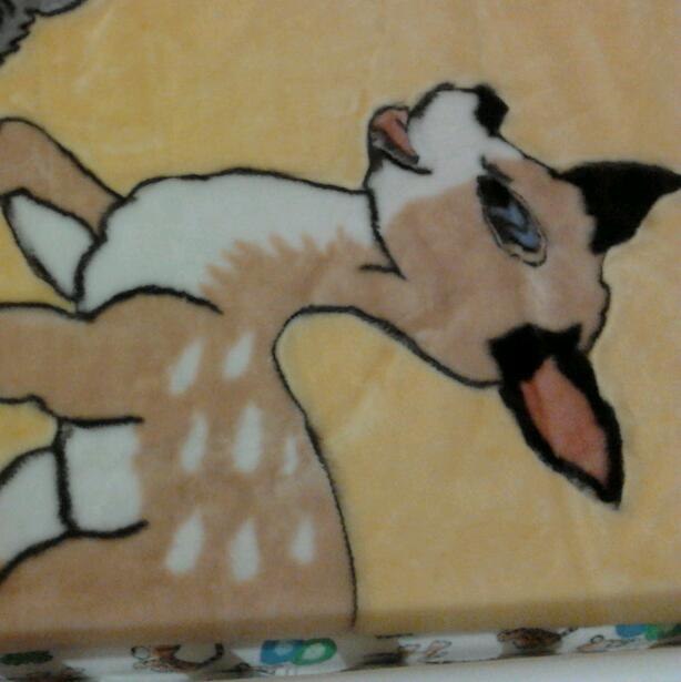 Альона Галета | Киев