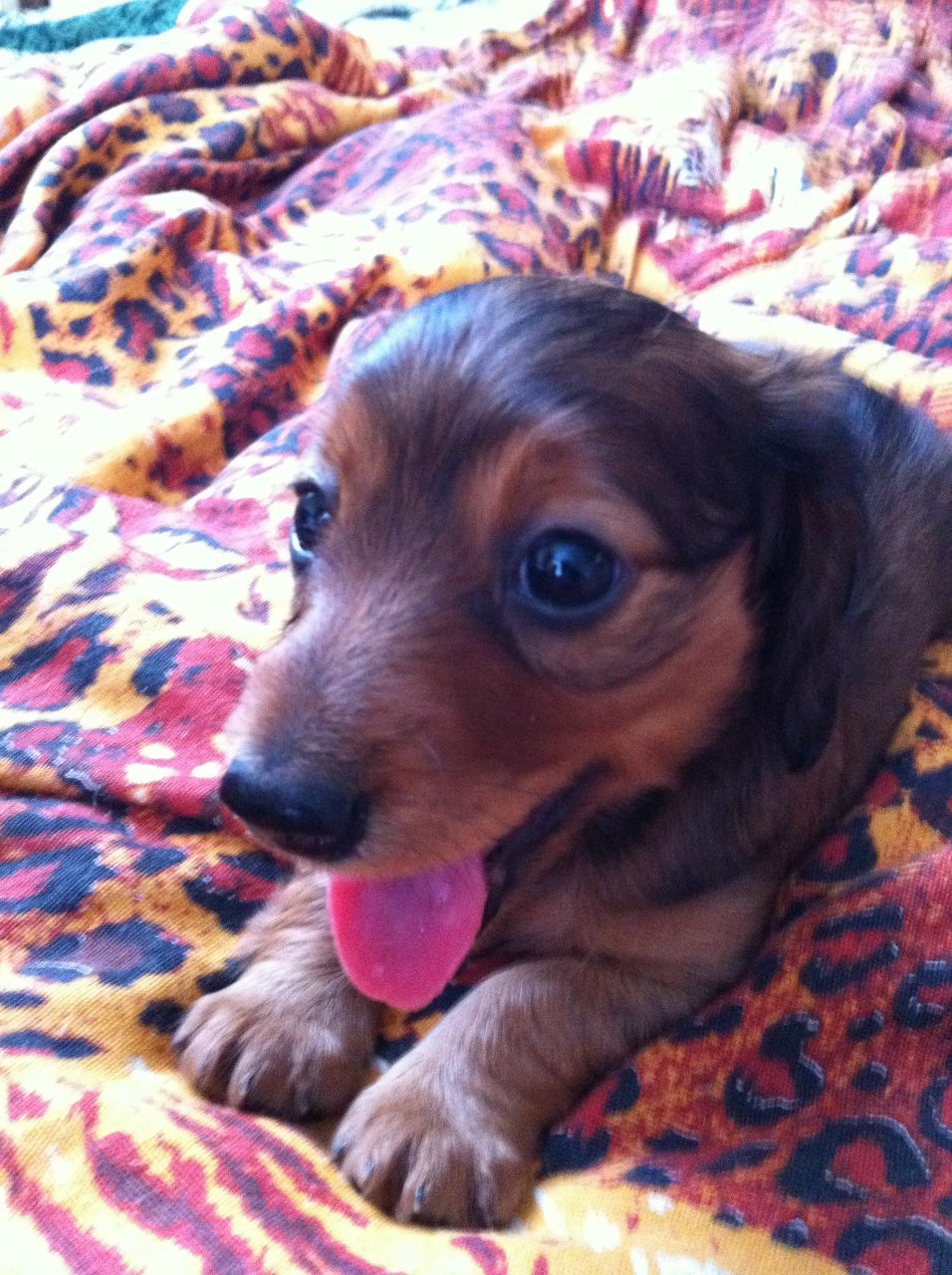 Павел Попов | Анапа