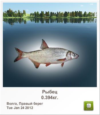 Сергей Орлов | Волово (поселок)