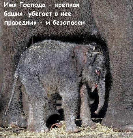 Vitalik Garazha *Angel* | Москва