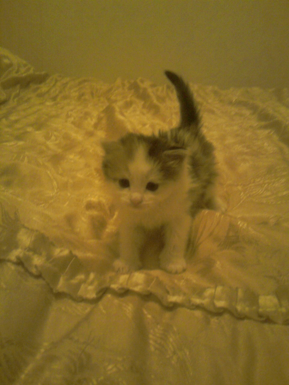 Руслан Гильманов | Зеленодольск