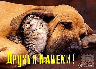 Мария Шарова | Камышлов