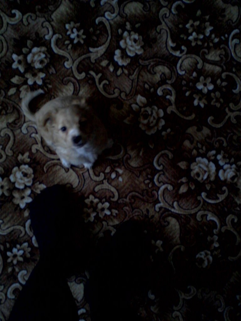 Roma Melnichuk | Нижний Новгород