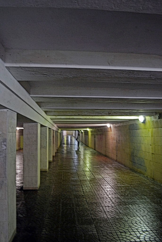 Наталья Неумывака | Киев