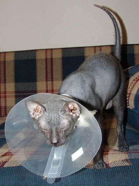 №77, Юрий Юнусов, 37 лет, Тюмень, Россия №77, Юрий Юнусов, 37 лет, Тюмень, Россия