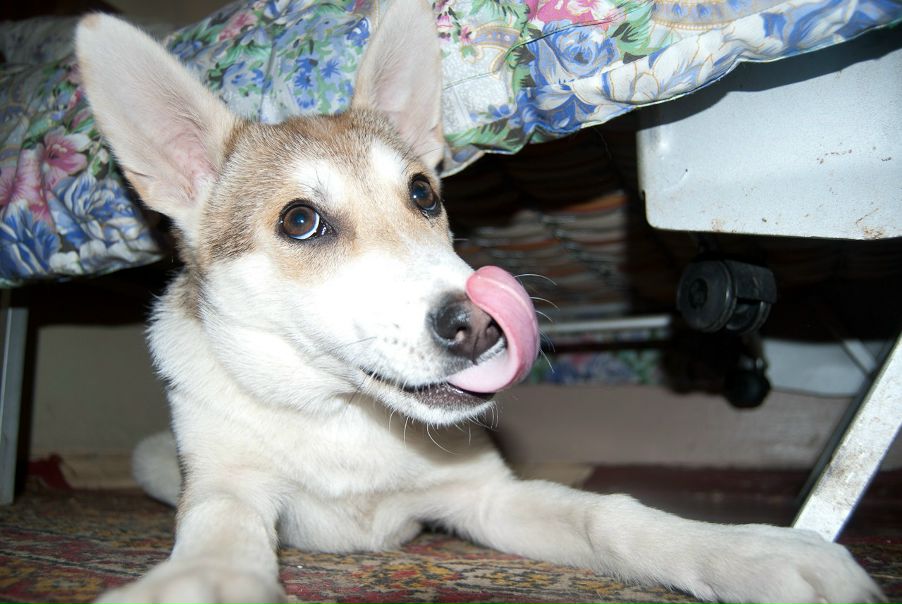 №92, Дмитрий Иоськов, Дзержинск №92, Дмитрий Иоськов, Дзержинск