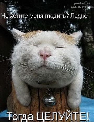 Денис Романов | Казань