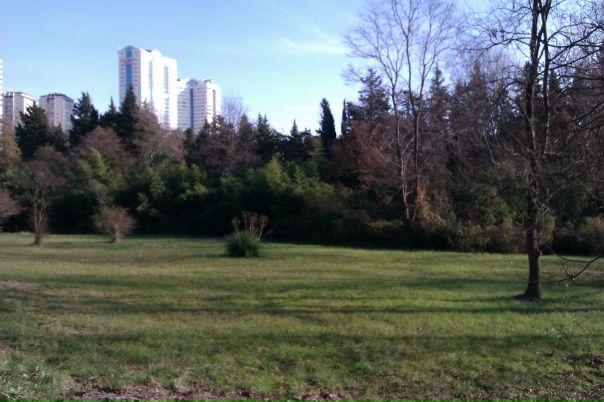 №153, Александр Ласточкин №153, Александр Ласточкин