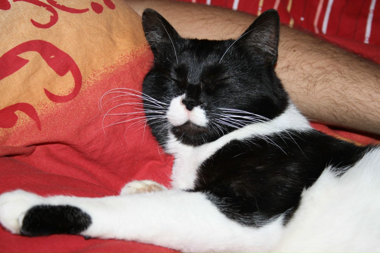 Надежда Коробова | Москва