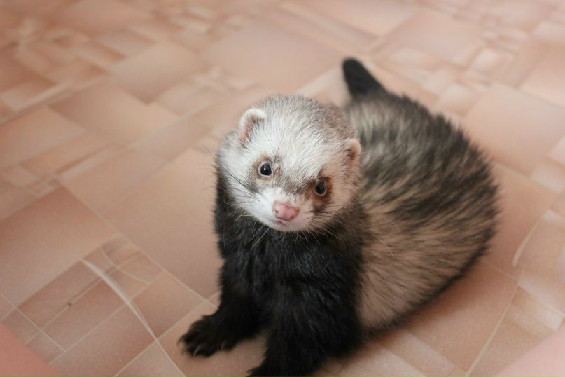 Сергей Семенов | 