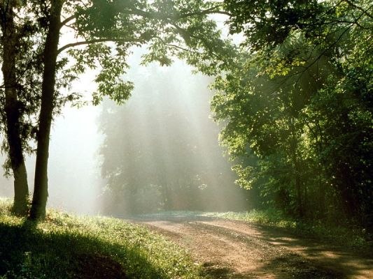 Элина Эйнарсен | Санкт-Петербург