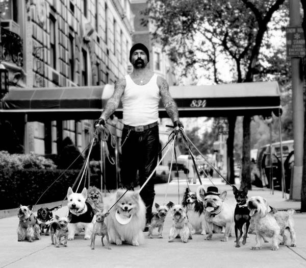 Константин Шлапак Юрьевич | Симферополь