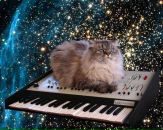 Фотография Илья Мухин