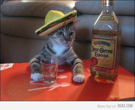 №32, Настасья Целищева №32, Настасья Целищева